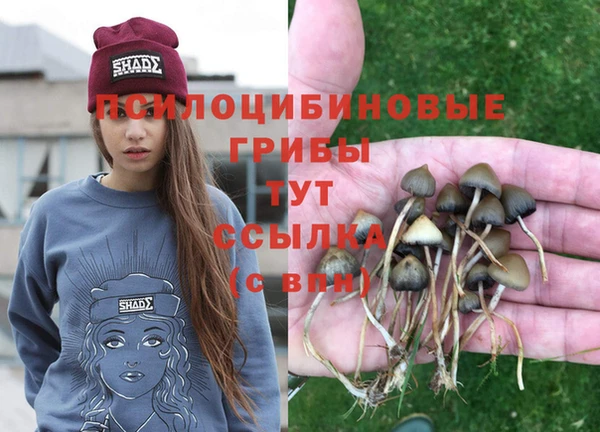 экстази Богданович