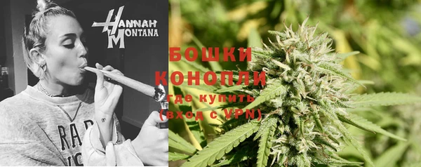 экстази Богданович