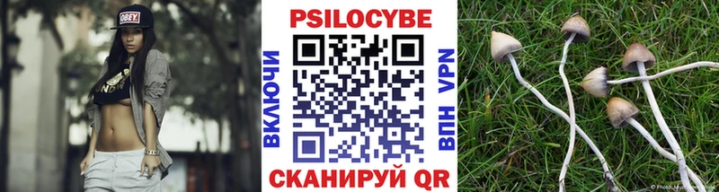 Псилоцибиновые грибы Magic Shrooms  Чебоксары 